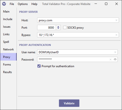 Proxy Server Options